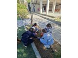 ΔΕΝΤΡΟΦΥΤΕΥΣΗ
