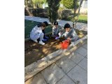 ΔΕΝΤΡΟΦΥΤΕΥΣΗ